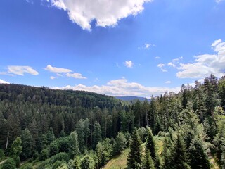 Schwarzenbachtalsperre beautiful lake in the Black Forest in Germany in summer