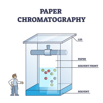 Paper chromatography method to separate colored chemicals outline diagram. Educational labeled mixed substance separation process explanation with solvent front and paper sheet vector illustration.