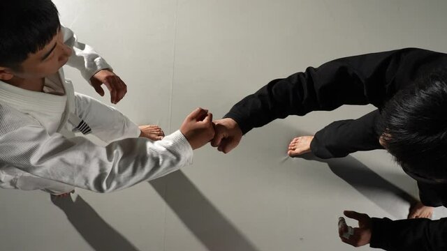 주짓수대결의 승리자