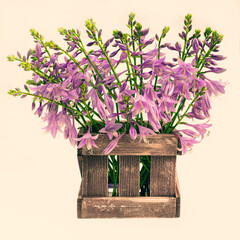 Lush large bouquet of delicate purple bells in a wooden box