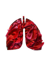  lungs with fresh green leaves as symbol of healthy lungs. World Tuberculosis Day or World Lung Day...