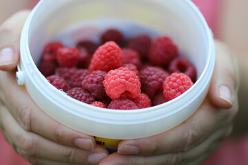Raspberries in bucket close up