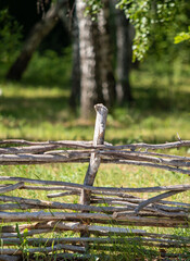 wooden fence made of branches in the forest