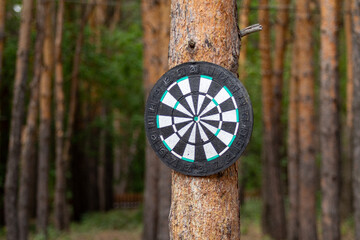 dart board on a tree in the forest