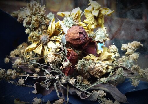 dried flowers lay in the old house
