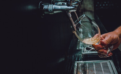 bartender hand at beer tap pouring beer in glass serving in a restaurant or pub