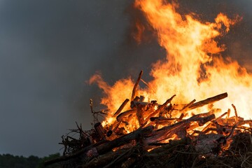 Midsummer traditional bonfire on tiny island Abruka in Baltic Sea. Festive eve of the Summer...