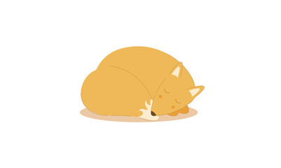 Fototapeta premium The cute fox animal is sleeping 