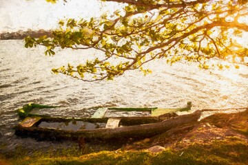 Acryl  paintings of fishing boats in evening light at Havel River. Havelland.