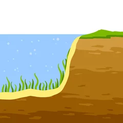 Tuinposter Water shore. Land in cross section. Coast of pond and bottom of lake. Ecology and geology. Flat cartoon illustration © Taras