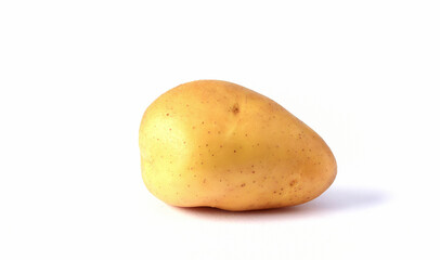 potato on a white background