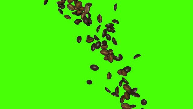 coffee beans falling 3d animation , green screen chroma key