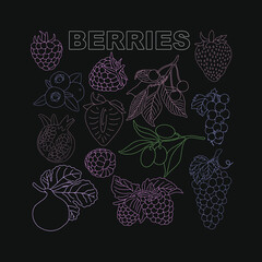 Berry set for use in product logos. Vector.