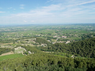 Vue depuis la forêt sur les vignes de Bourgogne 