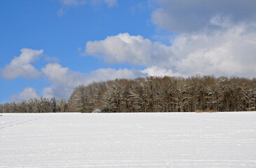 Schnee in der Hersbrucker Schweiz