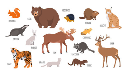 Vector set of wild forest animals: bear, beaver, elk, deer, badger and others. Illustration isolated on white background flat style