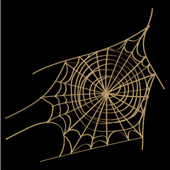 Spider web isolated on wite background. Spooky spider web for Halloween decoration.