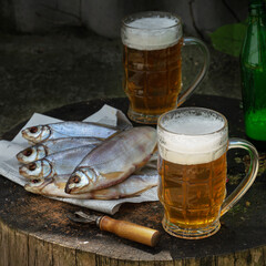 Beer with foam is poured into two glass mugs; next to it lies a fat dried roach fish on a felled tree. On open air.