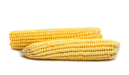 Group fresh cob of corn isolated on white background