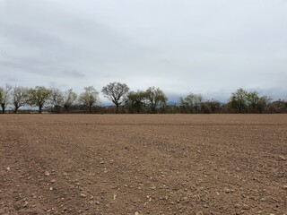 plowed field in autumn
