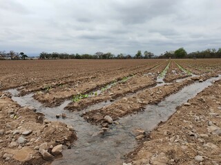 irrigation ditch in the countryside