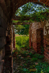 Old abandoned and overgrown ruin of a farmhouse