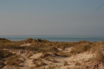 Plage du perroquet, Bray Dunes 
