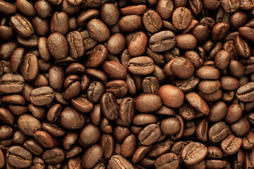 coffee beans background
