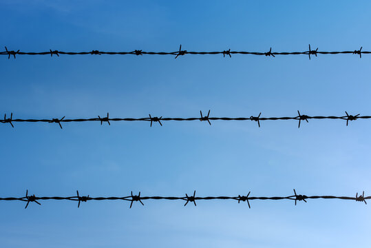 Barbed wire with blue sky in the background. It is a type of steel fencing wire constructed with sharp edges or points arranged at intervals along the strands. 