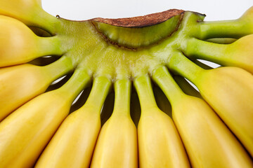 A bunch of ripe bananas on a white background. Ripe bananas.