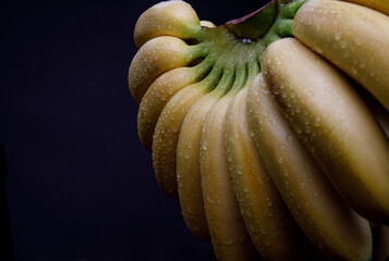 A beautiful large bunch of bananas on a black background with a place for inscriptions.
