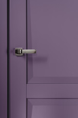 Stainless stylish door knob on violet wooden door