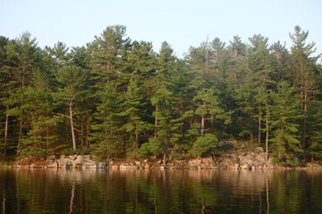 Fototapeta na wymiar The wilderness shoreline of Shotgun Bay in The Massasauga Provincial Park on Georgian Bay Ontario Canada