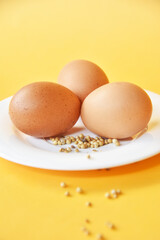 Chicken eggs placed on white plate with some white pepper on color background