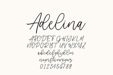 Vintage decorative font with label design and background pattern