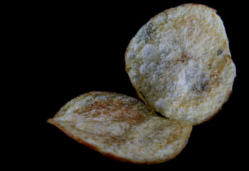 Crispy potato chips are isolated on a black background.