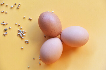 Chicken eggs with some white pepper on the color background