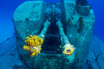 A gun turret on the wreck of the Captain Keith Tibbetts on Crayman Brac. This section of the Russian frigate has healthy sponge growing on it - obrazy, fototapety, plakaty