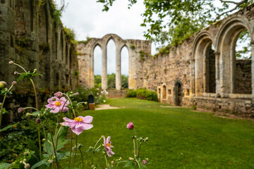 Ruins and beautiful gardens of the Abbaye de Beauport in the village of Paimpol, Côtes-d'Armor department, French Brittany. France