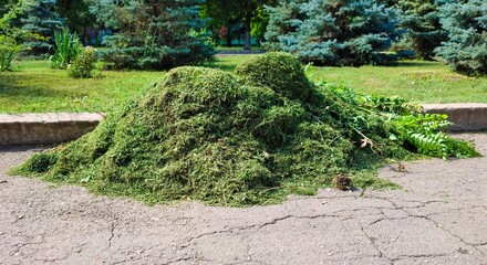 Stack of freshly cut grass in park