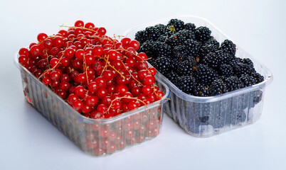 Plastic containers with blackberries and red ribes on white background isolation