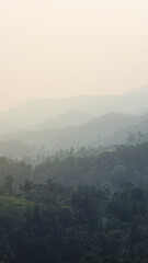 a moody view from wayanad