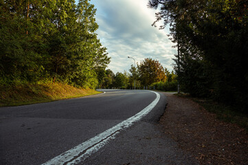 Fototapeta premium road in the autumn