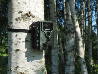 Trail camera on a tree. Photo and video trap. Animal monitoring device with motion sensor and night vision