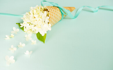 Beautiful white hydrangea flowers in a waffle cone on a blue background