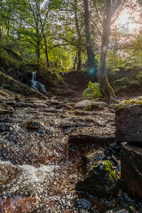 A waterfall in the Arbre D'or in the Broceliande forest, a French mystical forest located in the Ille-et-Vilaine department, Brittany, near Rennes. France