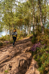 Fototapeta premium A young woman on the trail in the Broceliande forest, French mystical forest located in the Ille-et-Vilaine department, Brittany, near Rennes. France