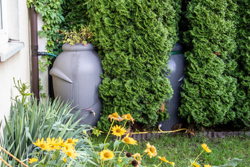 Water tanks connected to the gutter. Ecology, rainwater, saving the climate.