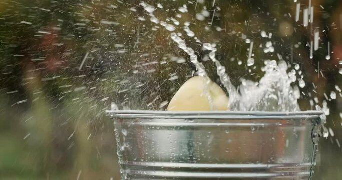 Various ripe fruits fall into a bucket of water