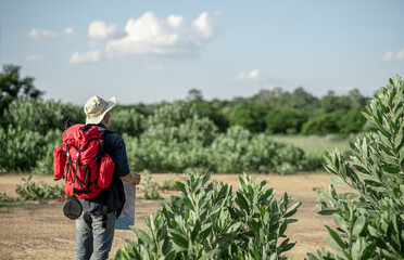 Young backpacker man looking map while working in trip